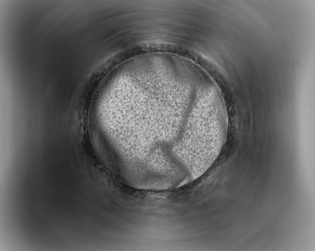 X0000094200870200711091217