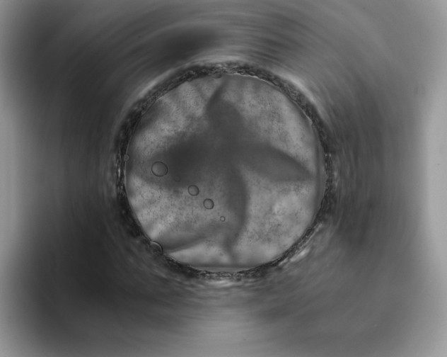 X0000094200871200711091217