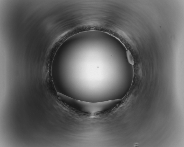 X0000094200872200711091217