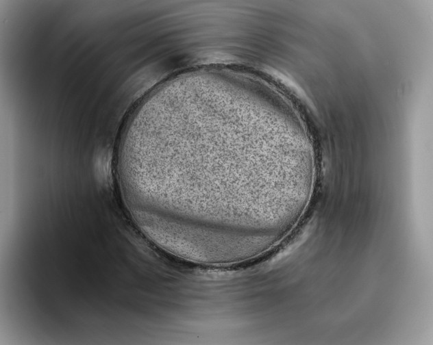 X0000094200873200711091217