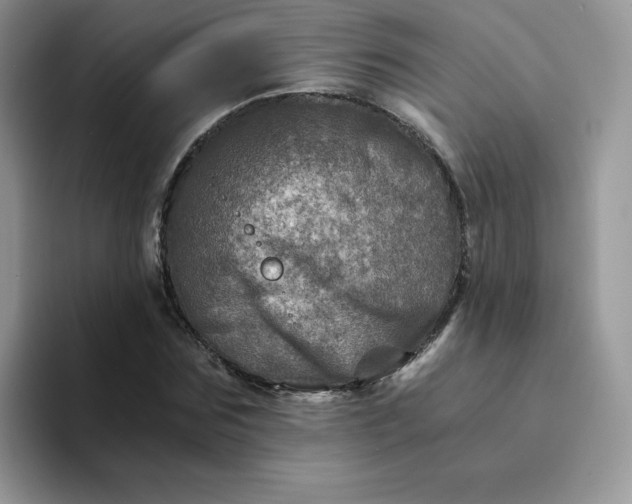 X0000094200875200711091217