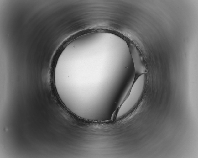 X0000094200880200711091217