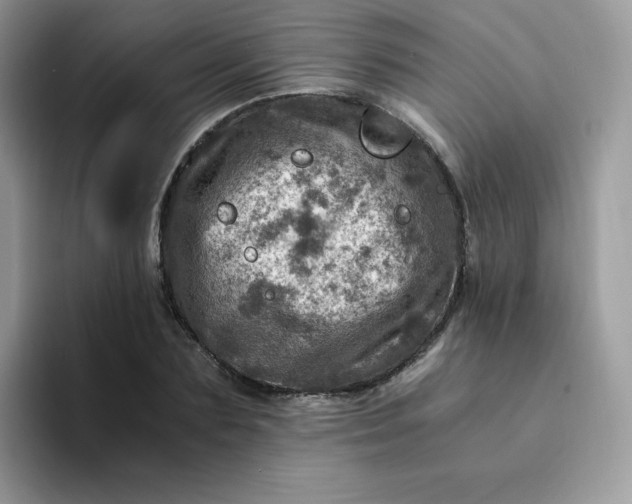 X0000094200883200711091217