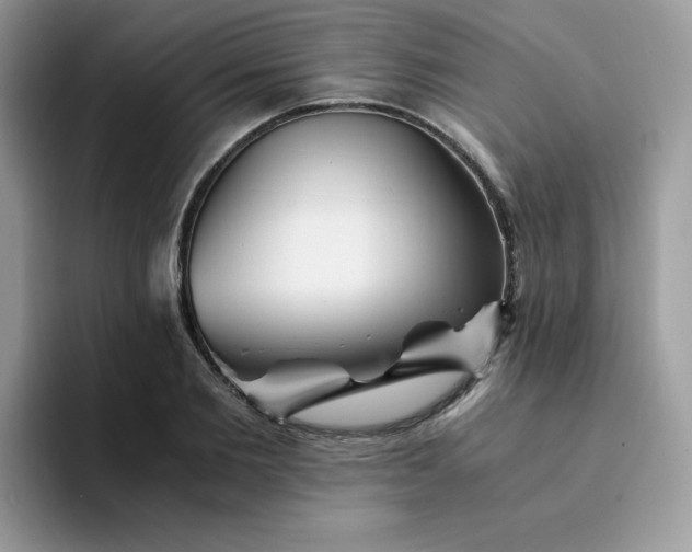 X0000094200885200711091217