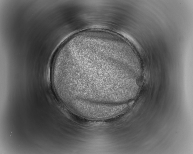 X0000094200886200711091217