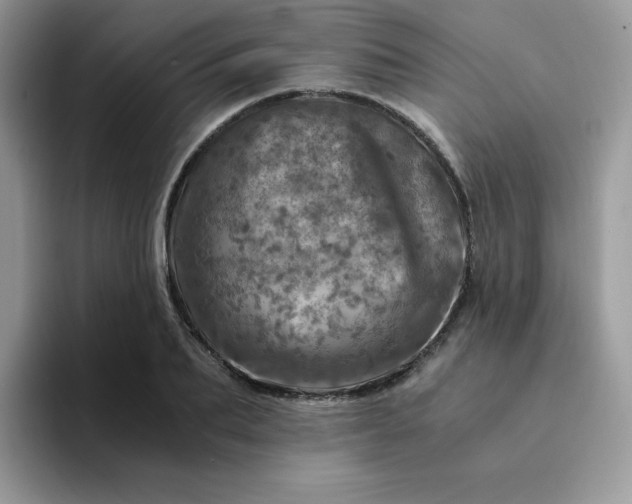 X0000094200887200711091217