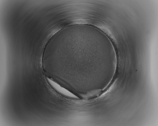 X0000094200889200711091217