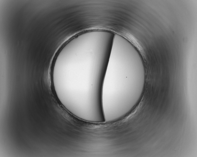 X0000094200892200711091217