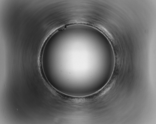 X0000094200893200711091217