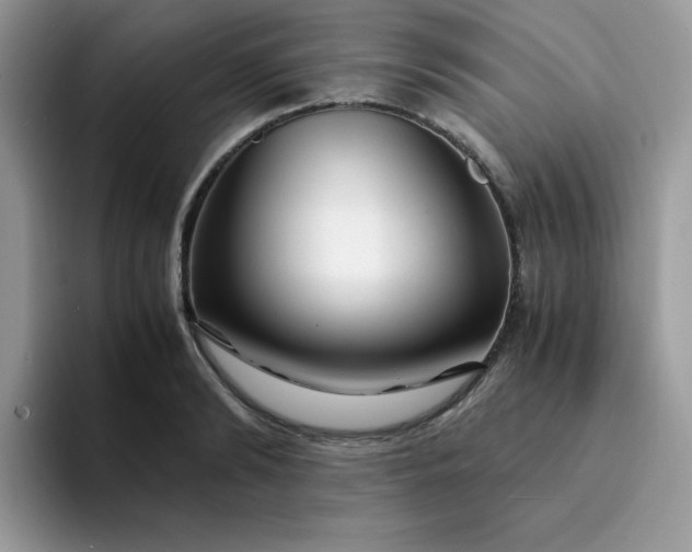 X0000094200894200711091217