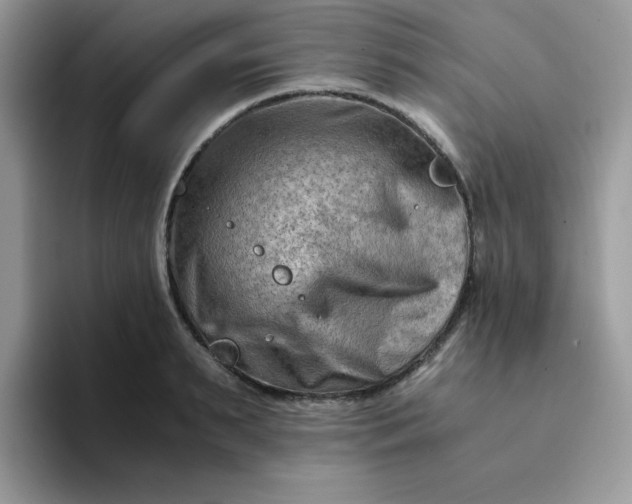 X0000094200895200711091217