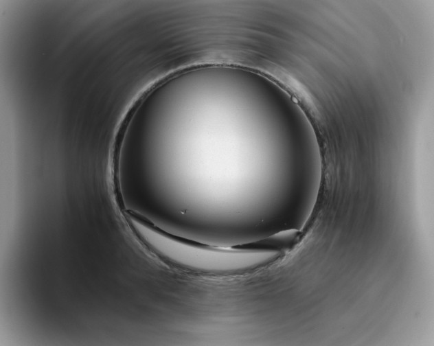 X0000094200896200711091217