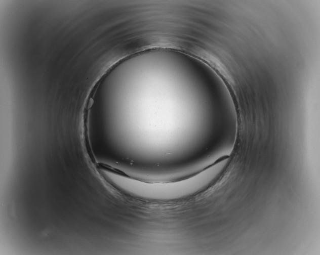 X0000094200898200711091217