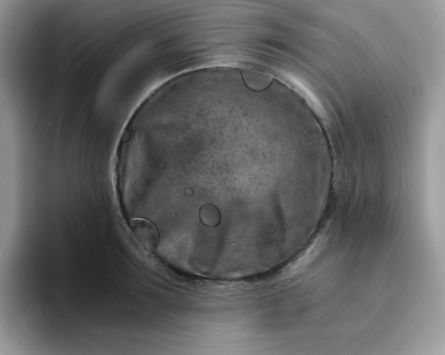 X0000094200899200711091217