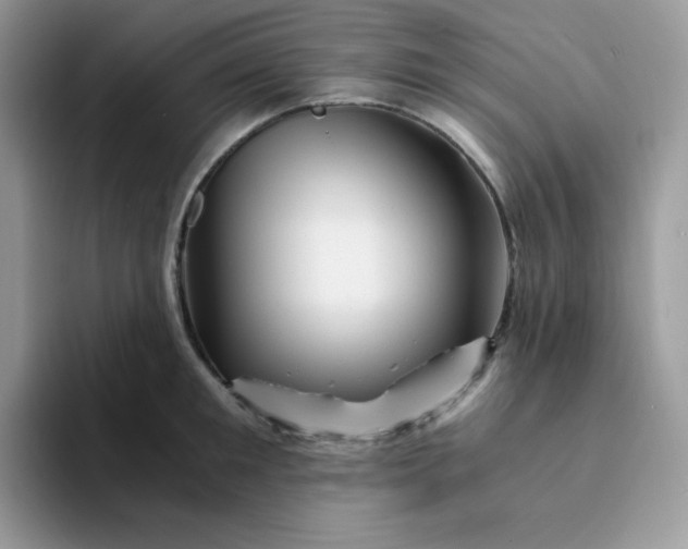 X0000094200901200711091217