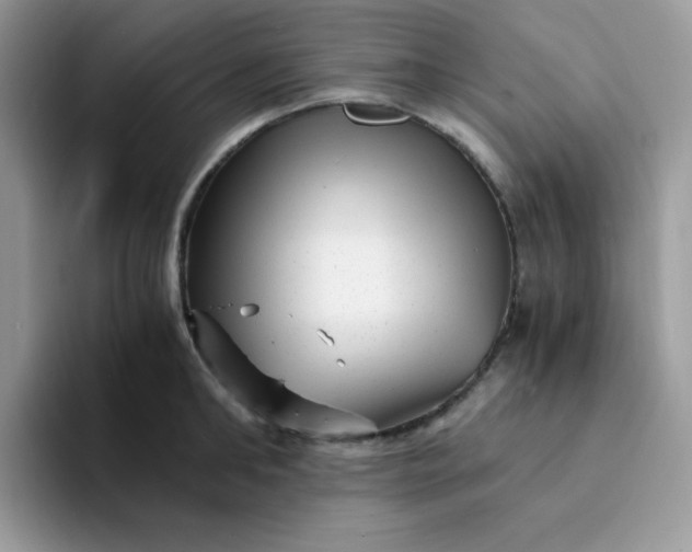 X0000094200902200711091217