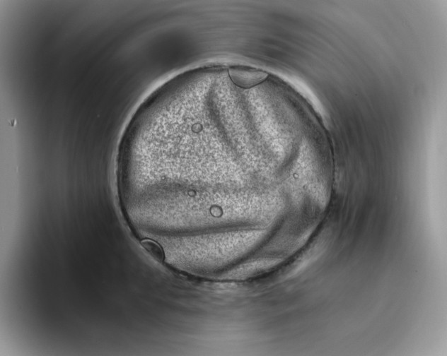 X0000094200903200711091217