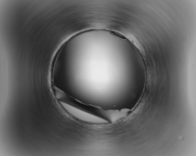 X0000094200904200711091217