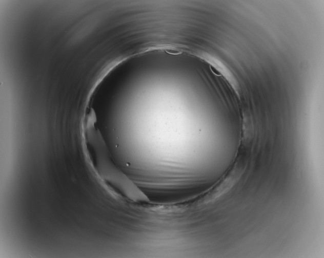 X0000094200906200711091217