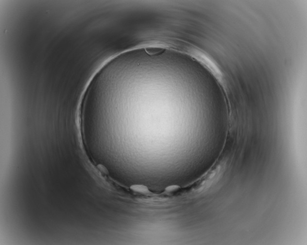 X0000094200907200711091217