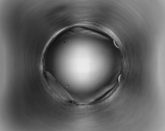 X0000094200908200711091217