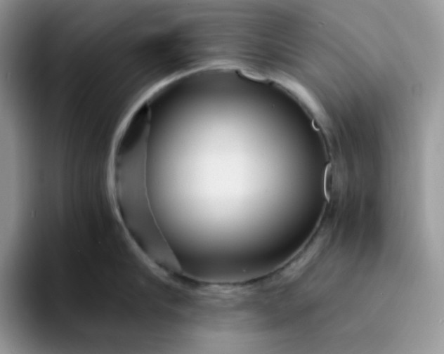 X0000094200910200711091217