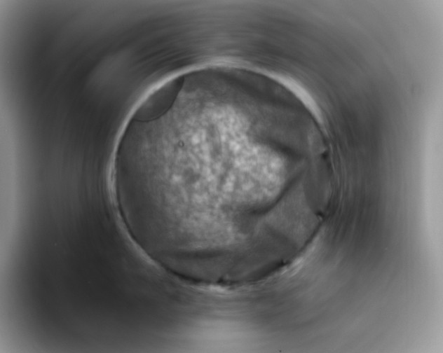 X0000094200911200711091217