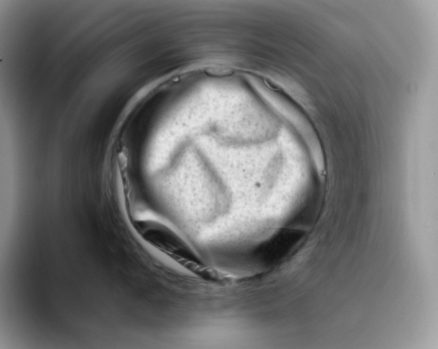 X0000094200912200711091217