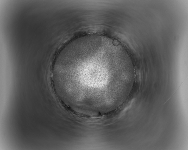 X0000094200913200711091216