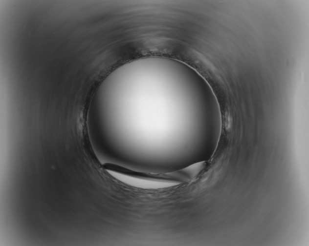 X0000094200915200711091216