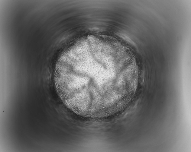 X0000094200917200711091216