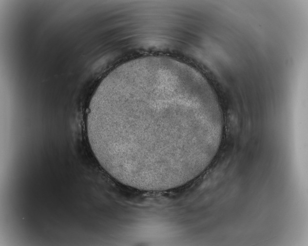 X0000094200918200711091216