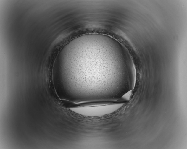 X0000094200919200711091216