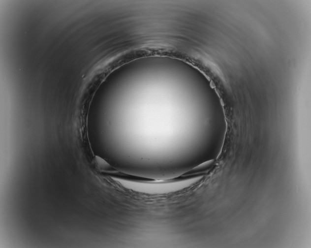 X0000094200920200711091216