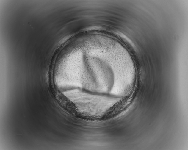 X0000094200921200711091216