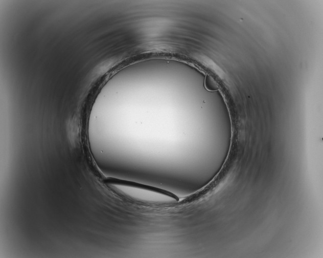 X0000094200922200711091216