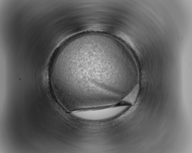 X0000094200923200711091216