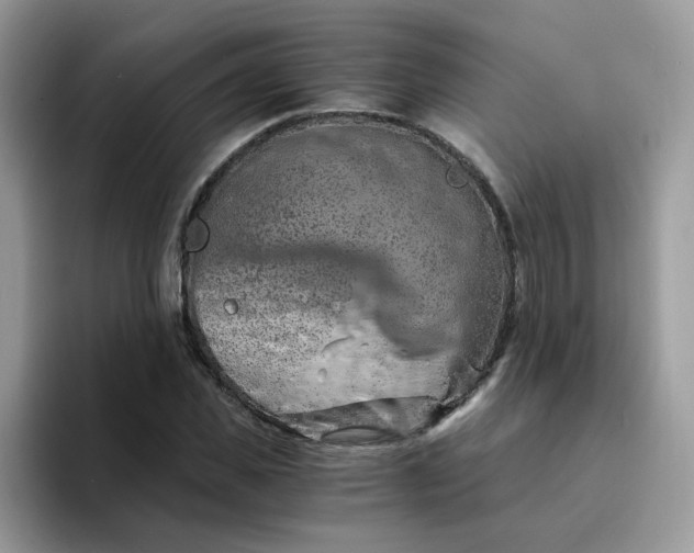 X0000094200925200711091216