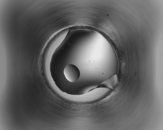 X0000094200926200711091216