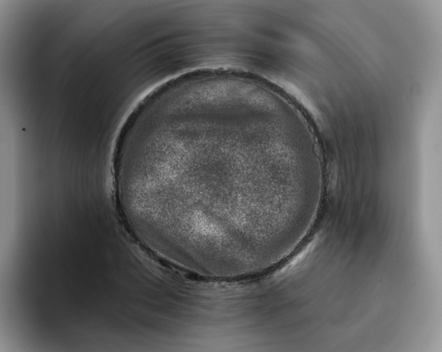 X0000094200927200711091216