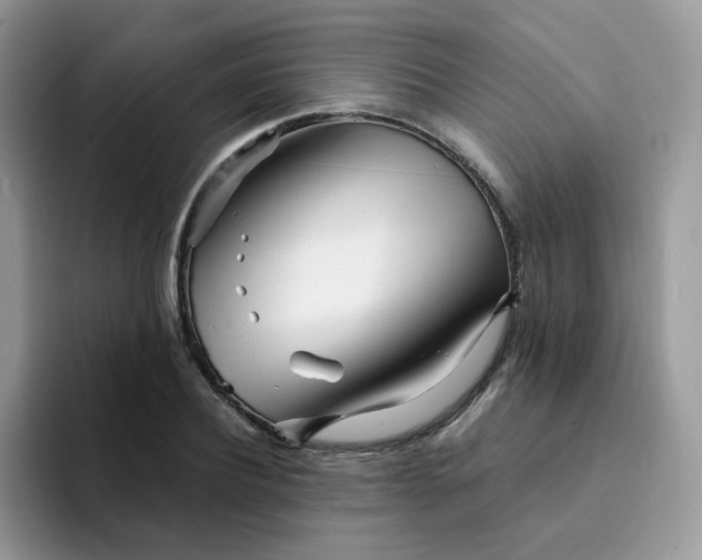 X0000094200932200711091216