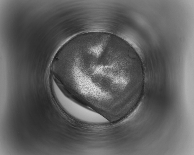 X0000094200933200711091216