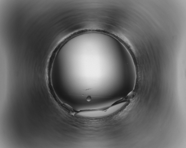 X0000094200935200711091216