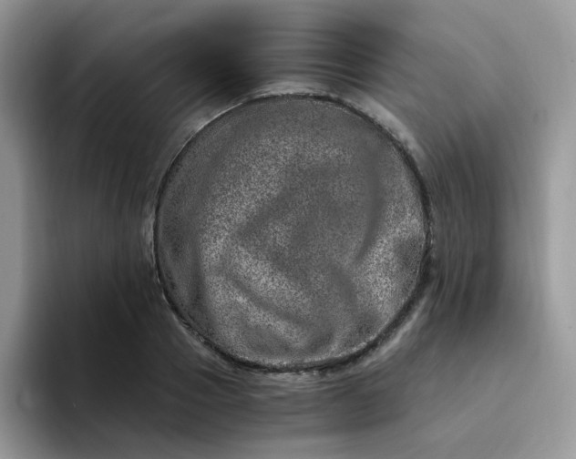 X0000094200937200711091216