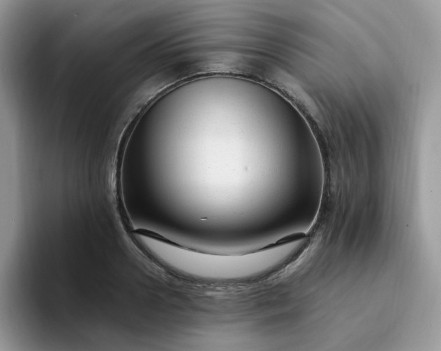 X0000094200938200711091216