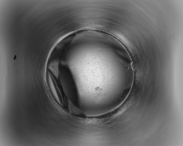 X0000094200940200711091216