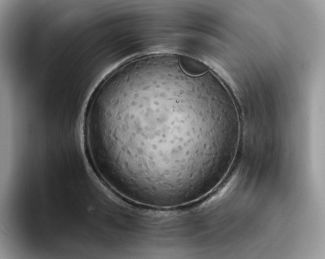 X0000094200941200711091216