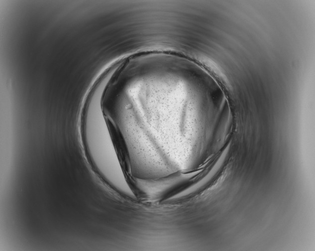 X0000094200942200711091216