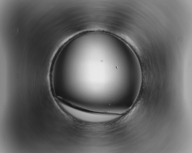 X0000094200943200711091216