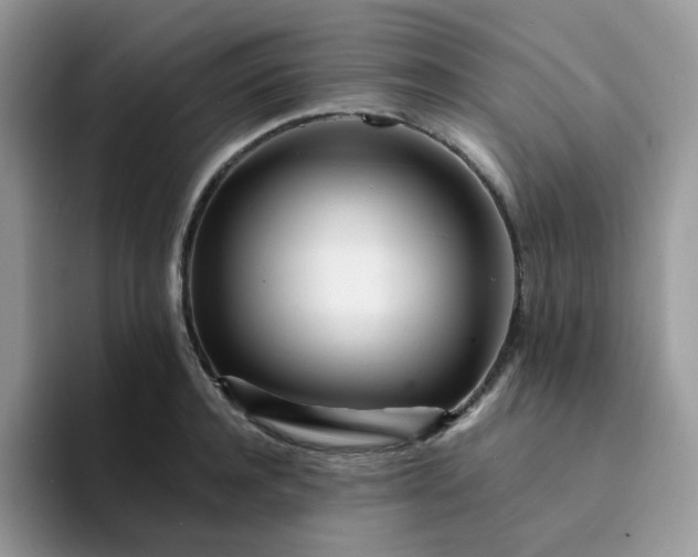 X0000094200944200711091217